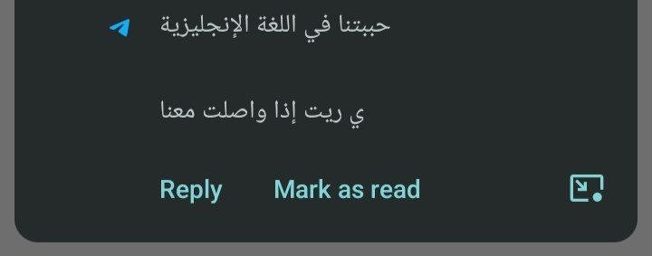 photo_2026-03-22_11-17-14